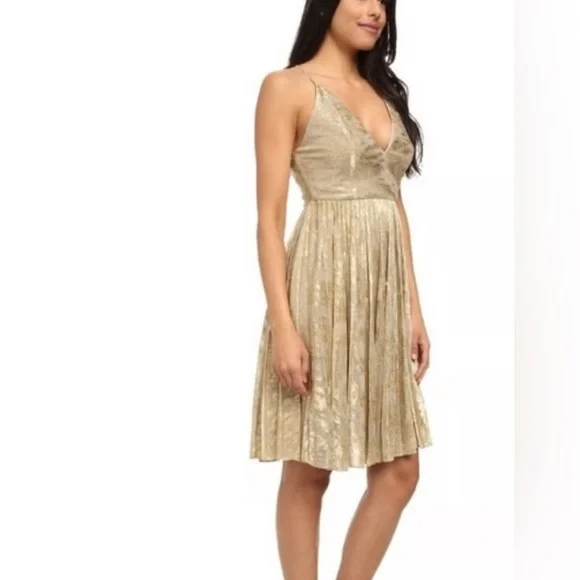 Sam Edelman Russian GoldRomance Dress - Picture 3 of 15